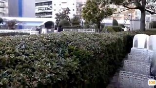 高颜值国模雨嘉私拍七部外流 4
